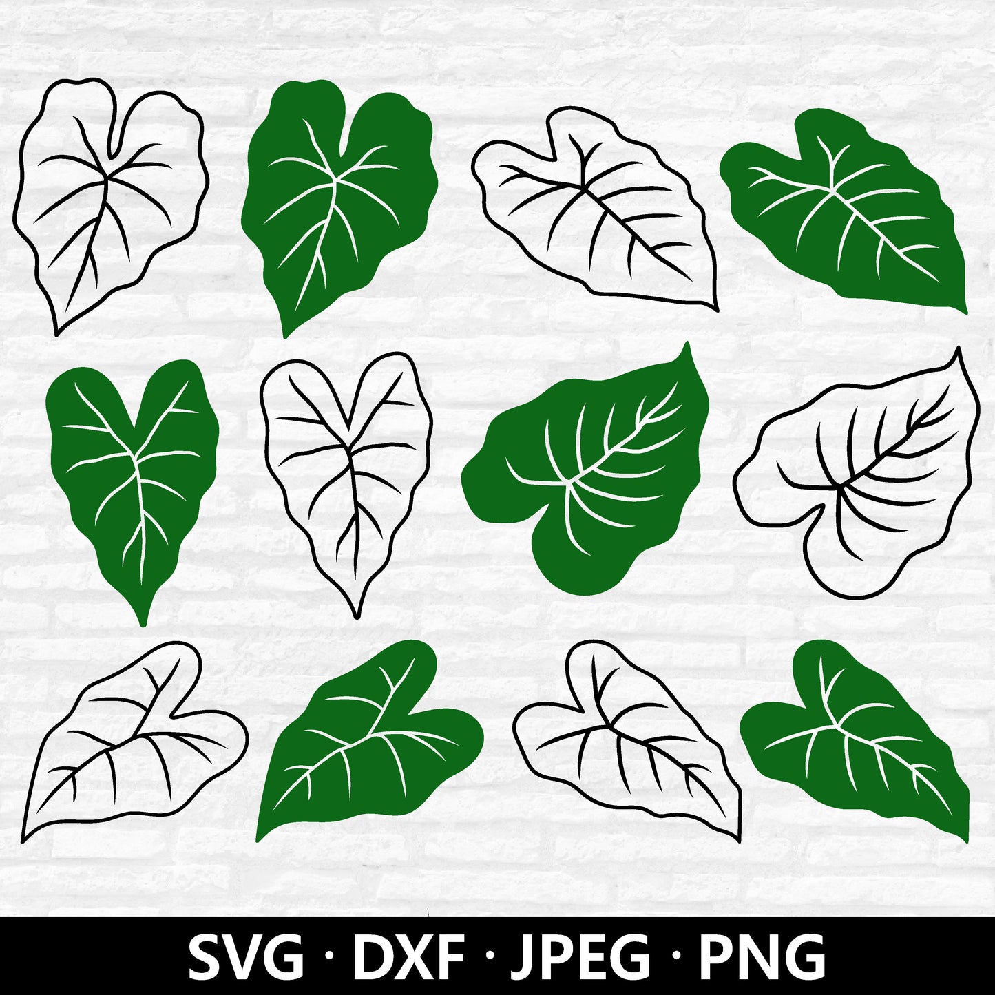 Alocasia Leaf SVG, Tropical Leaves Vector, Leaf SVG Bundle, Greenery Tropical Clipart, Alocasia Tropical decor Cut files Digital Download