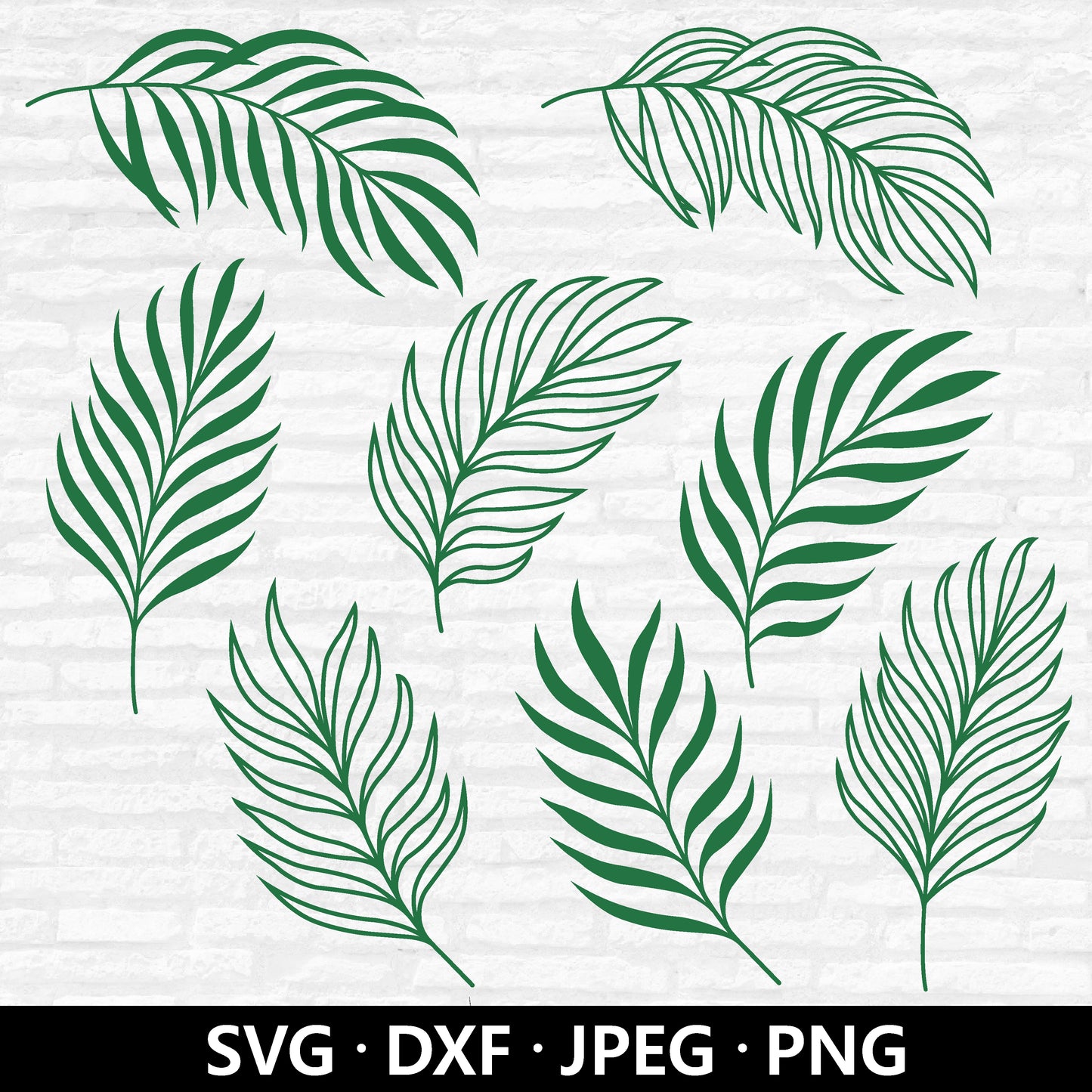 Palm Leaf SVG, Tropical Leaves Cut Files, Leaf SVG Bundle, Greenery Tropical Clipart, Palm Leaf SVG, Tropical party decor Digital Download