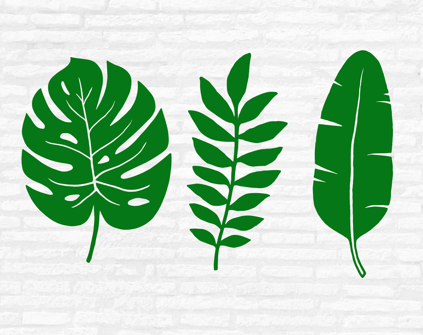 Tropical Leaves Svg Bundle, Tropical Leaf Vector, Palm Leaf Clipart, Jungle Leaves, Monstera Png, Tropical Decor Cut files Digital Download