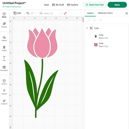 Tulip (Digital Download)
