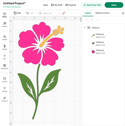 Hibiscus (Digital Download)