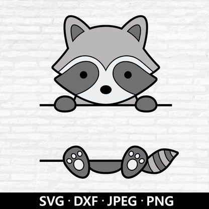 Raccoon Monogram Svg, Cute Raccoon Clipart, Woodland Animals Svg, Raccoon Name Frame svg, Customize with name tag cut files Digital Download