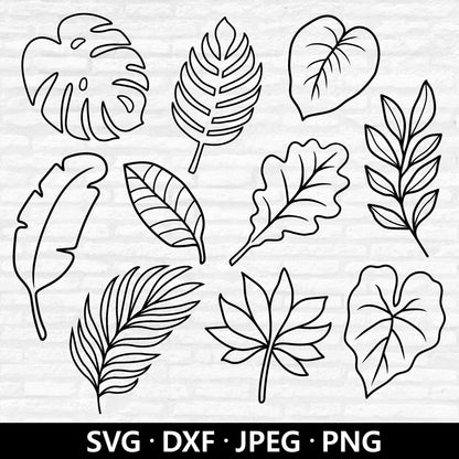 Tropical Leaf Svg Bundle, Tropical Leaf Outline Svg, Palm Leaves Svg, Jungle Leaf Monstera Svg, Tropical Leaves Cut files Digital Download