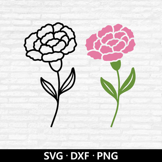 Carnation (Digital Download)