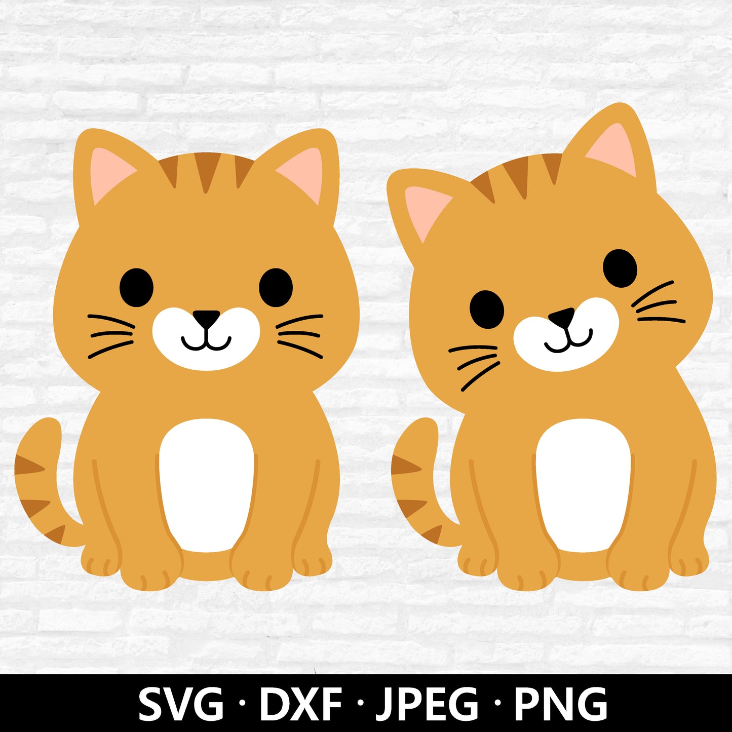 Cute Cat SVG, Cat SVG Files, Kitten Svg, Baby cat cutting file, Cute Animal Svg, Cat vector, Cat Lover Shirt, Cat Cut files Digital Download