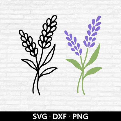 Lavender (Digital Download)