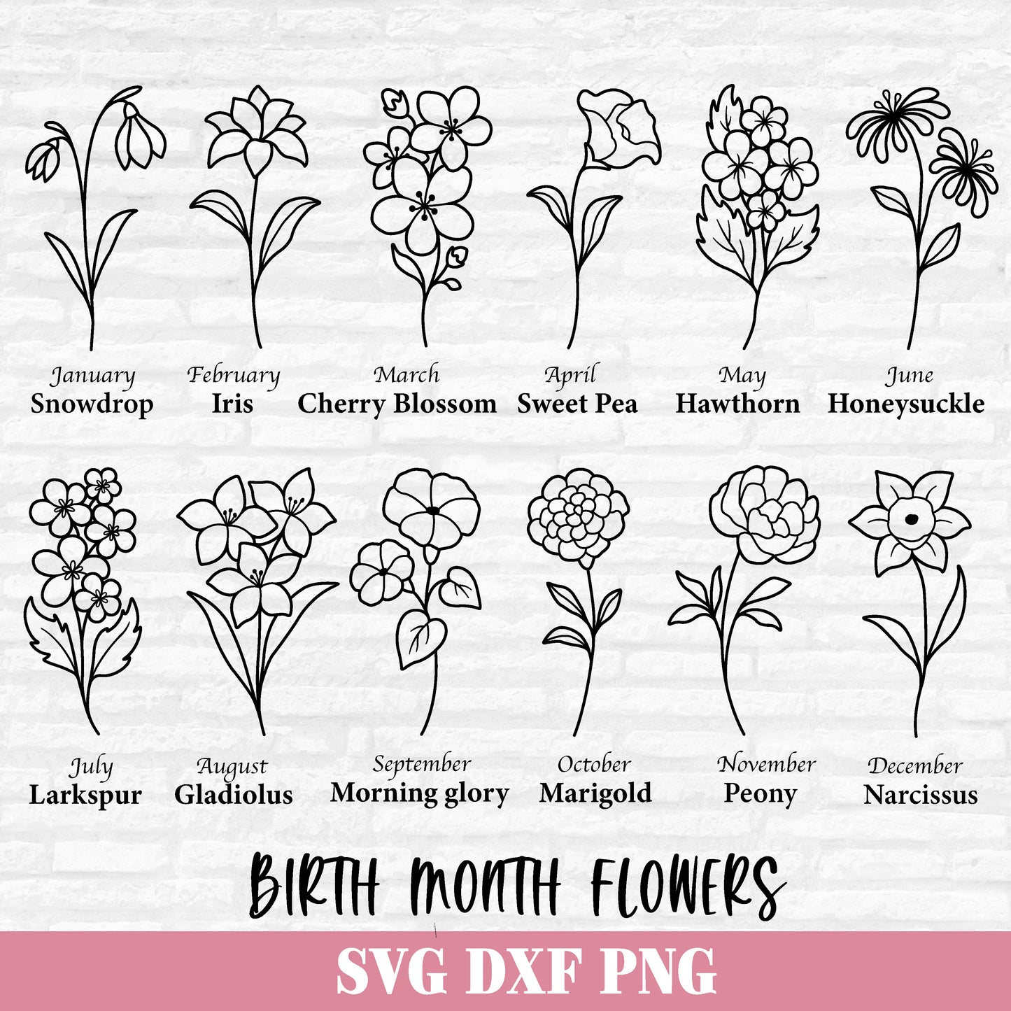 Birth Month Flowers Svg, Flower Svg Bundle, Floral Clipart, Botanical svg, Wildflower PNG, Birthday Flowers Cut files Digital Download