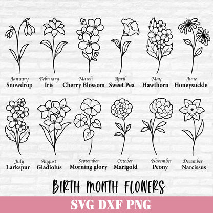 Birth Month Flowers Svg, Flower Svg Bundle, Floral Clipart, Botanical svg, Wildflower PNG, Birthday Flowers Cut files Digital Download