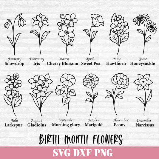 Birth Month Flowers Svg, Birthday Flower Svg, Flower Svg Bundle, Botanical svg, Floral Svg, Birth Month Flowers, Wildflower, Birthday svg