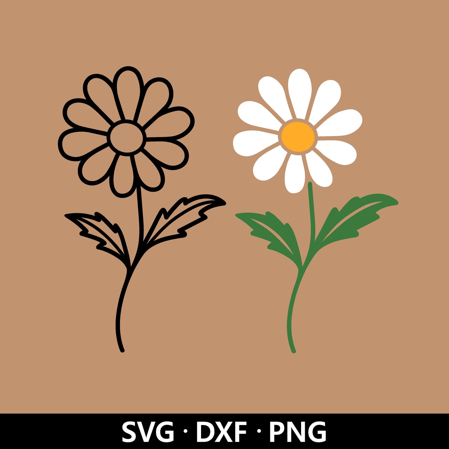 Daisy Flower (Digital Download)