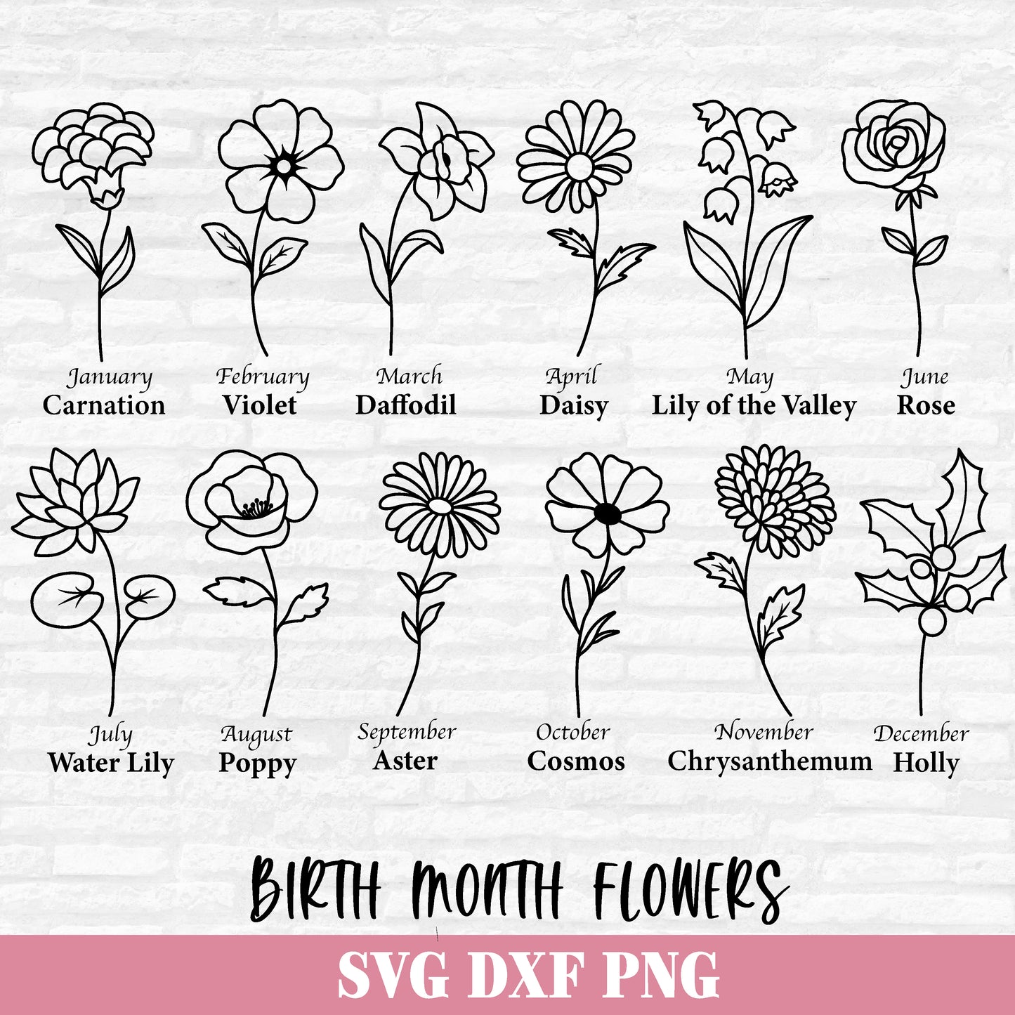 Birth Month Flowers Svg, Flower Svg Bundle, Floral Clipart, Botanical svg, Wildflower PNG, Birthday Flowers Cut files Digital Download