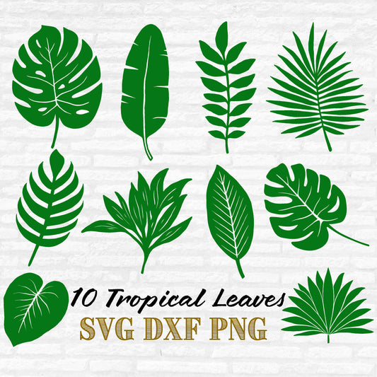 Tropical Leaves Svg Bundle, Tropical Leaf Vector, Palm Leaf Clipart, Jungle Leaves, Monstera Png, Tropical Decor Cut files Digital Download