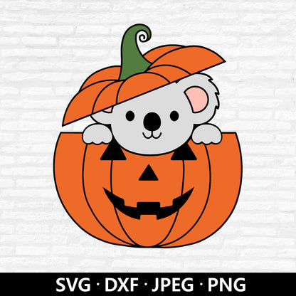 Halloween Koala SVG, Pumpkin SVG, Cute koala Svg, Kids Halloween shirt Svg, Halloween Pumpkin Svg, Fall Sign Cut Files Digital Download