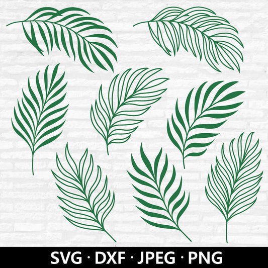 Palm Leaf SVG, Tropical  Leaves Cut File For Cricut, Leaf SVG Bundle, Greenery Tropical Clipart, Palm Leaf Silhouette, Tropical party decor
