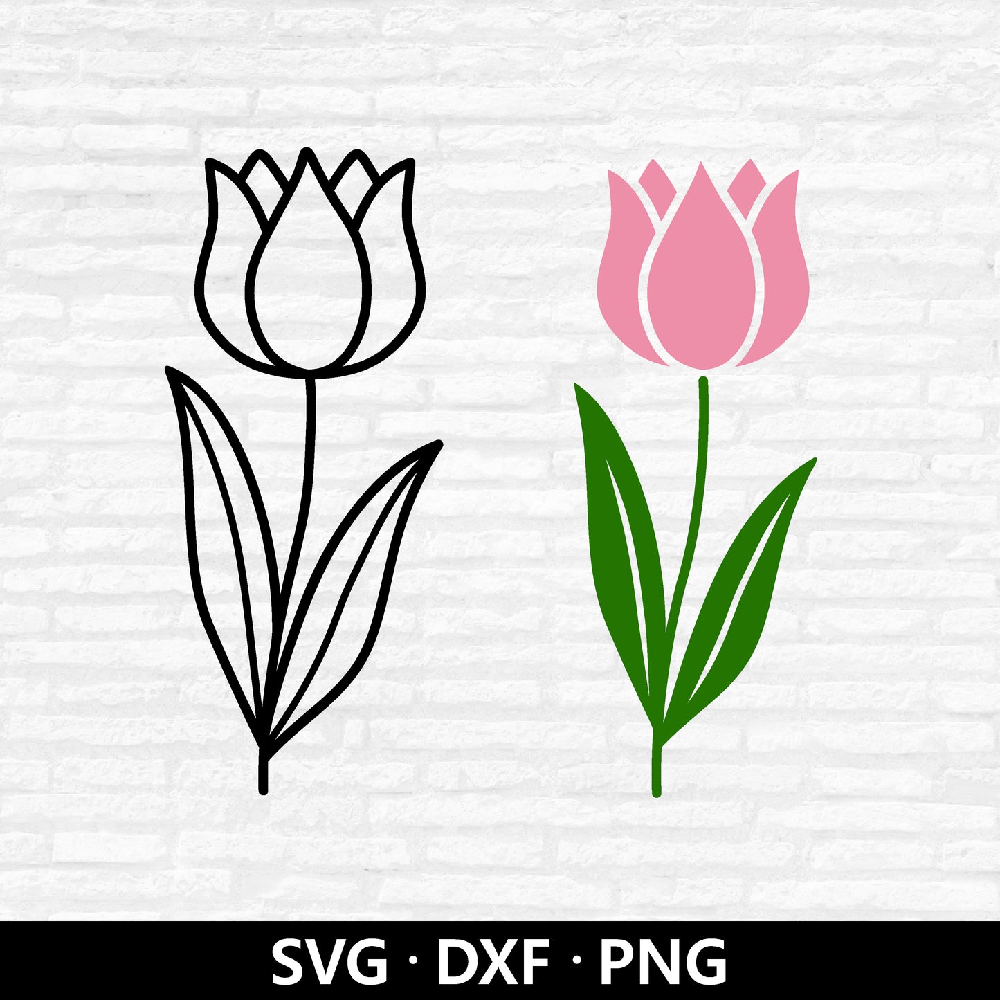Tulip (Digital Download)