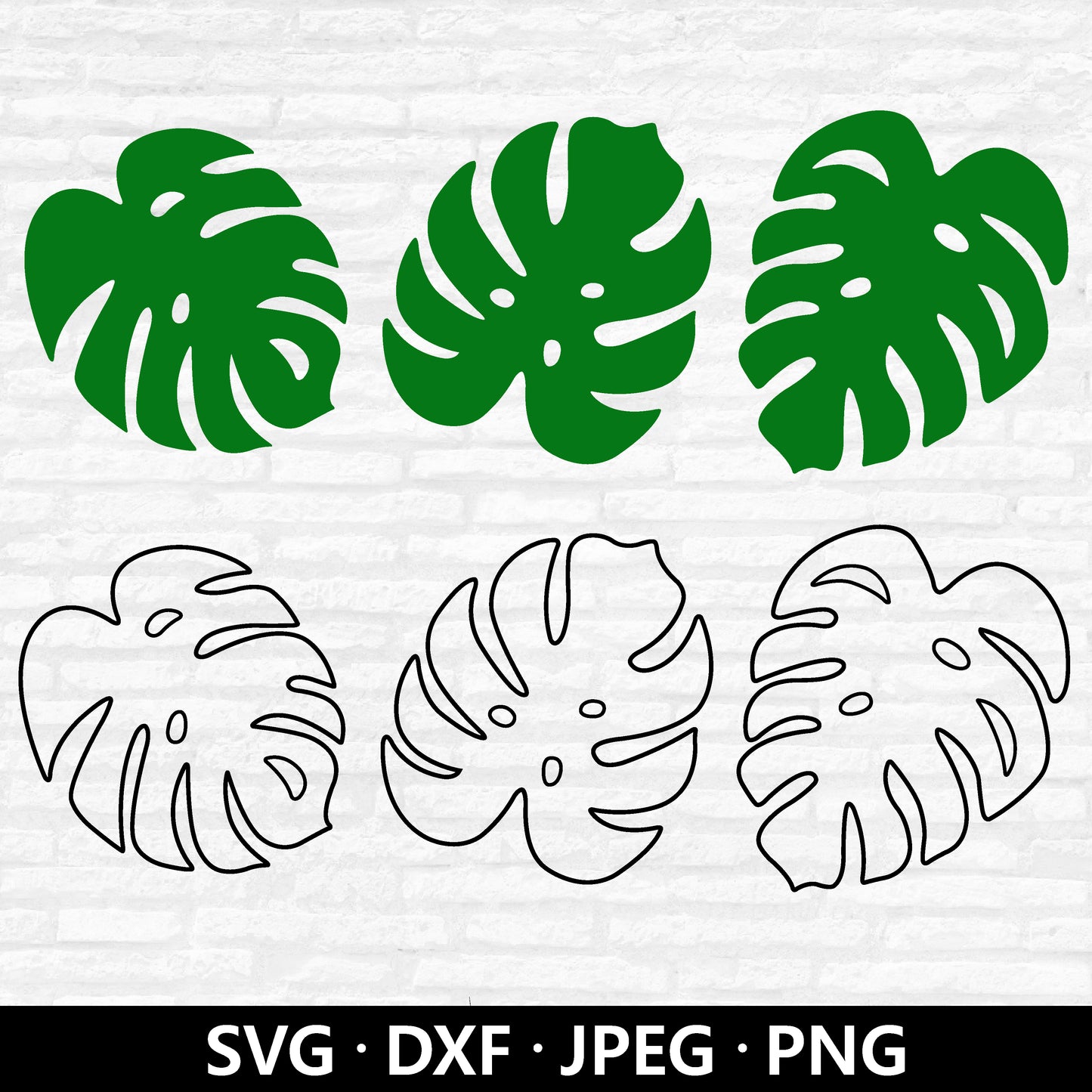 Monstera SVG, Tropical Leaf Cut File, Monstera leaf SVG, Greenery Tropical Clipart, Monstera Tropical party decor cut files Digital Download