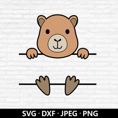 Capybara Monogram Svg, Cute Capybara Clipart, Jungle Animals Vector, Baby Nursery animal Capybara Name Frame Cut files Digital Download